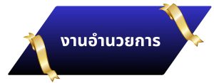 O3-31